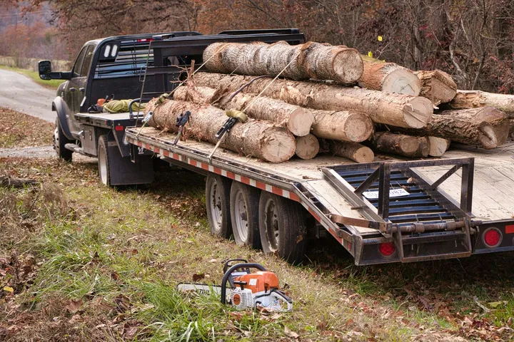 Flatbed trailer carrying logs